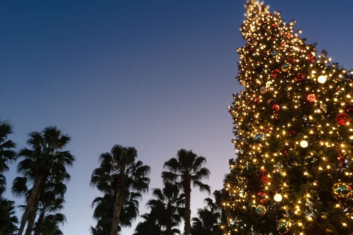 taille idéale sapin de Noël